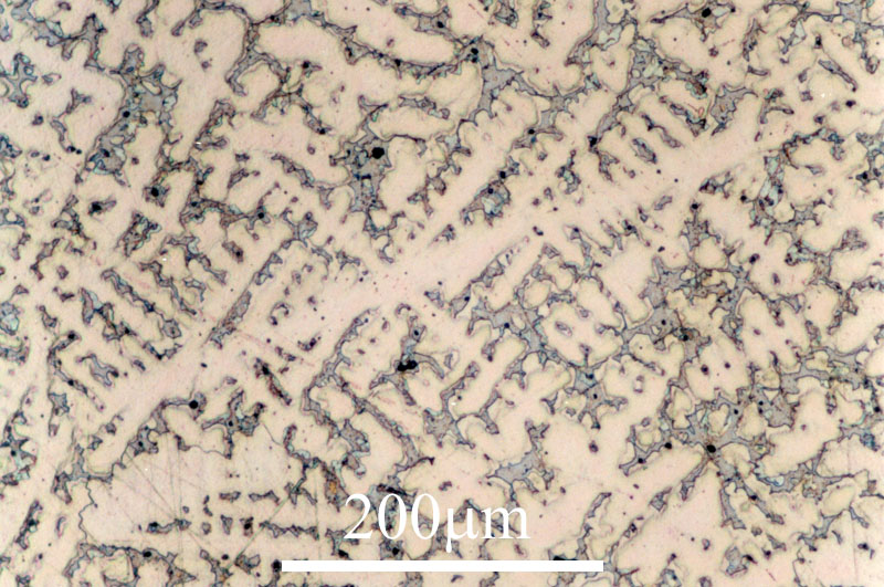 IMage do micrograph 485 in the library