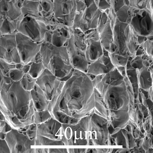 Micrograph rough surface AlMgSi alloy