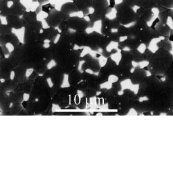 Micrograph 195 from the DoITPoMS micrograph library. Micrograph of zirconia-toughened alumina (ZTA).